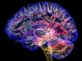 黄色三级操逼大脑植入物有助于严重头部损伤恢复